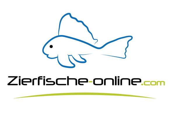 zierfische-online.business